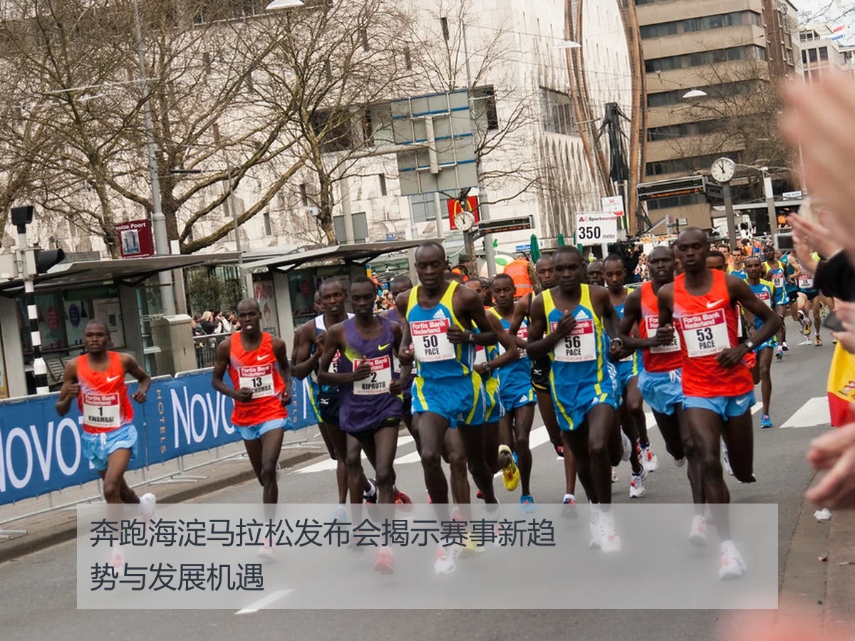 奔跑海淀马拉松发布会揭示赛事新趋势与发展机遇