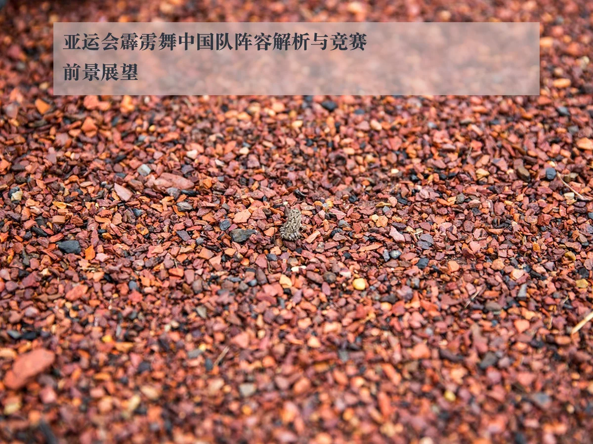 亚运会霹雳舞中国队阵容解析与竞赛前景展望